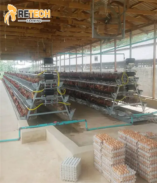 Manuel A Type Layer Chicken Battery Cage